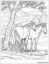 Wild Horse Coloring Page  Free Printable Pages sketch template