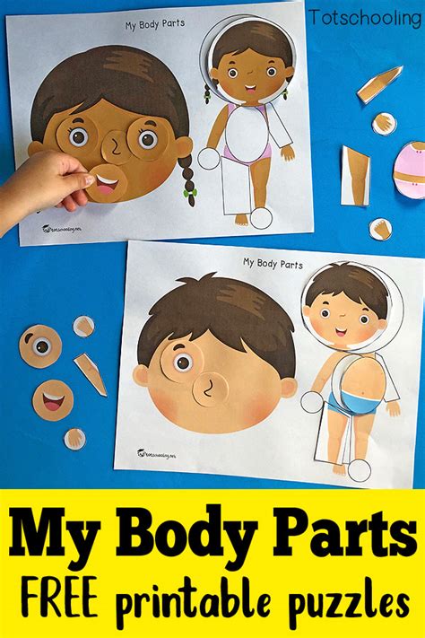 My Body Parts - Printable Puzzles | Totschooling - Toddler, Preschool, Kindergarten Educational ...