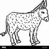 Democratic Donkey Coloring Page sketch template