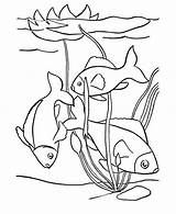 Fish Pond Coloring Page sketch template