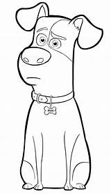 Max From The Secret Life Of Pets Coloring Page  Puppy coloring pages sketch template