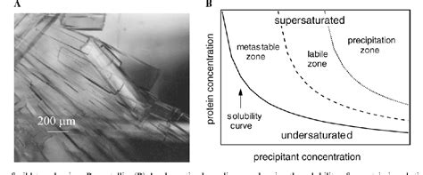 [PDF] Protein crystallization and phase diagrams. | Semantic Scholar