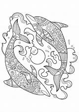 Two Beautiful dolphins  Dolphin Coloring Pages For Kids sketch template