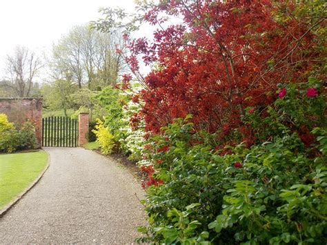 Gardens at Dromoland Castle, Newmarket-on-Fergus, Ireland Fergus, Newmarket, Ireland ...