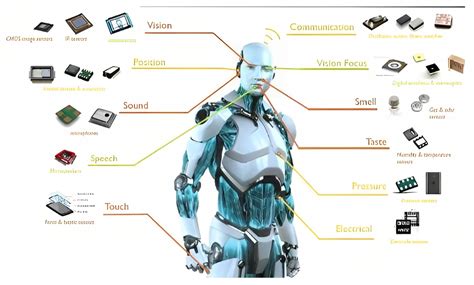 Robotics: Five Senses plus One—An Overview