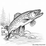 Brook Trout Coloring Pages  Free & Printable sketch template
