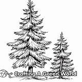Pine Tree Coloring Pages  Free & Printable sketch template