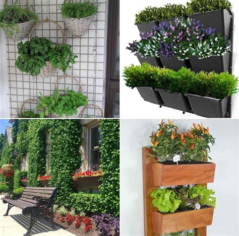 Vertical Garden Design Ideas for Beginners | Gardening Tips