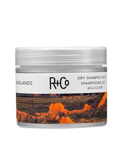 23 Best Dry Shampoo Picks - Top Dry Shampoo Brands for Dry and Oily Hair