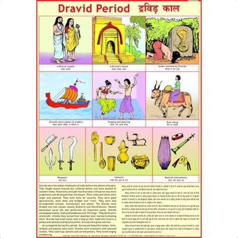 The Dravidians Civilizion Chart at Lowest Price in Delhi - Manufacturer,Supplier,Exporter