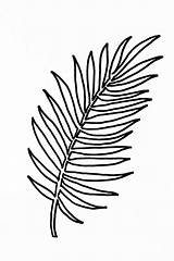 Palm Leaf Coloring Pages sketch template