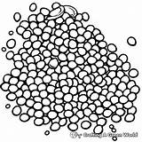 Mustard Seed Coloring Pages  Free & Printable sketch template