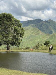 How to Go to Communal Ranch, Bukidnon: A DIY Travel Guide