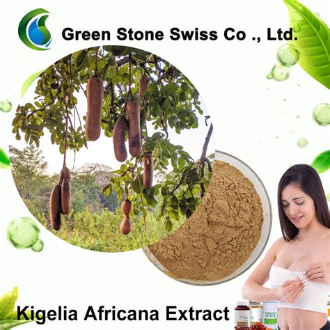 Kigelia Africana Extract Buy Online,Price,For Sale,Manufacturer From ...