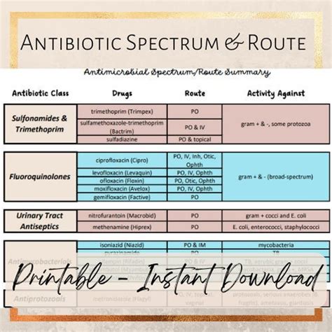 Antibiotic Spectrum & Route Cheat Sheet - Etsy France