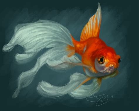 Veiltail Goldfish by greyviolett on DeviantArt