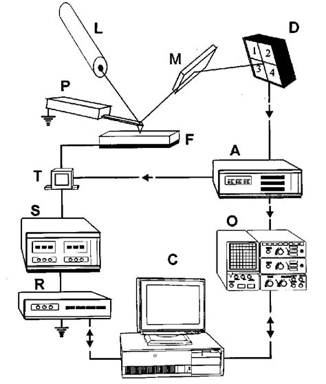 Experimental set-up. The laser L beam was directed to the cantilever P... | Download Scientific ...