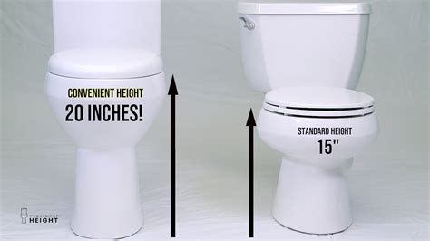 What Is Standard Height Of Toilet at Lillian Kirk blog