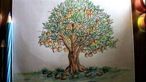 Share 79+ mango tree pencil sketch super hot - seven.edu.vn