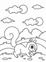 40  Squirrel Coloring Pages Free Printable PDF & Online sketch template