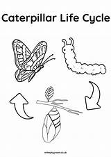 8 Cute Caterpillar Coloring Pages For Kids  In The Playroom sketch template