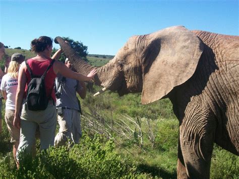 South Africa Wildlife Conservation by Christine Slaughter | Flickr