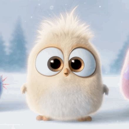 cute | This GIF by Angry Birds has everything: cute, adorable, ANGRY BIRDS ... | dance ...
