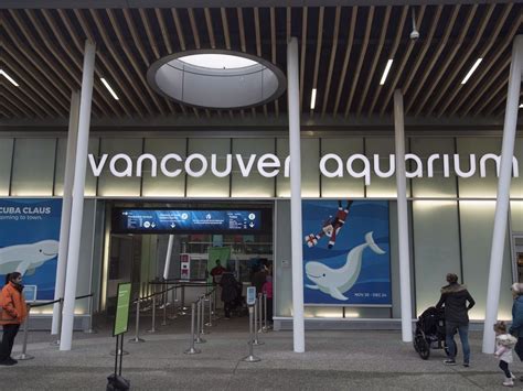 COVID-19: Vancouver Aquarium losing millions, could close permanently ...