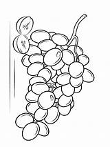 Grape coloring pages sketch template