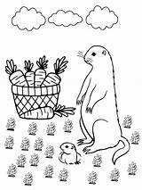 Groundhog  Coloring Pages sketch template
