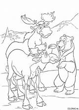 Coloring Page  Brother bear moose And Coloringme sketch template