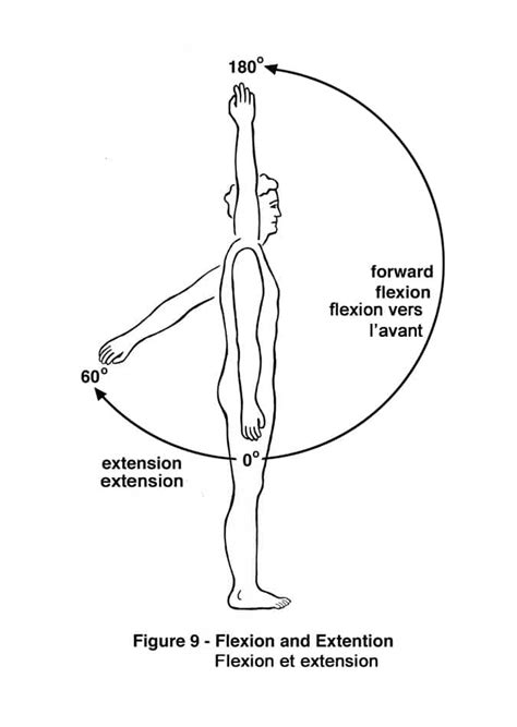 Shoulder Flexion: The 4 Most Important Facts You Must Know for NASM