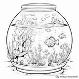 Aquarium Coloring Pages  Free & Printable sketch template