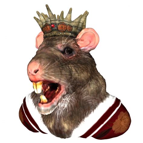 King Rat Free Stock Photo - Public Domain Pictures