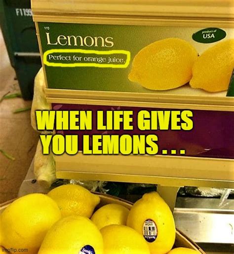 When life gives you lemons - Imgflip