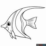Angelfish Coloring Page  Easy Drawing Guides sketch template