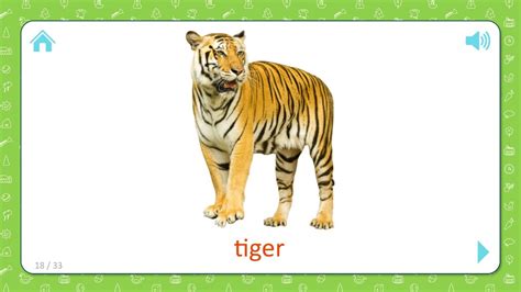 Tiger - Wild Animals - Flashcards for Kids - YouTube