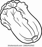 Chinese Cabbage Cartoon Coloring Page Line Stock Vector Royalty Free  sketch template