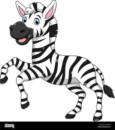 Zebra Cartoon Images