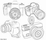 Four Chambers coloring page sketch template