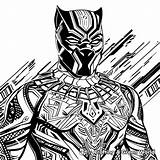 Black Panther Coloring Pages  Free & Printable sketch template