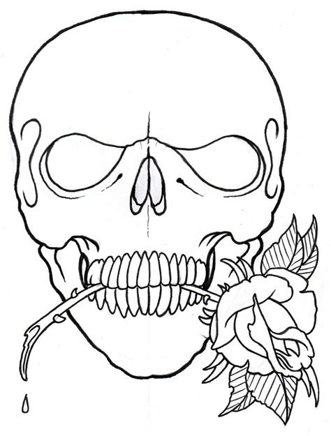 Skull And Rose Outline by vikingtattoo on DeviantArt | Skull and rose drawing, Roses drawing ...