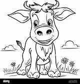 COLORING PAGE Of A cow calf Cute Funny Character Linear Illustration  sketch template