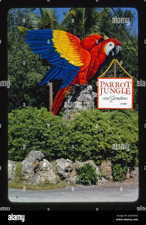 Parrot Jungle, Miami, Florida Stock Photo - Alamy