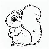 Squirrel With Acorn Coloring Page sketch template