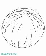 Cantaloupe Coloring Pages sketch template