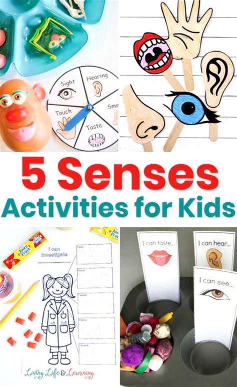 5 Senses Activities for Kids