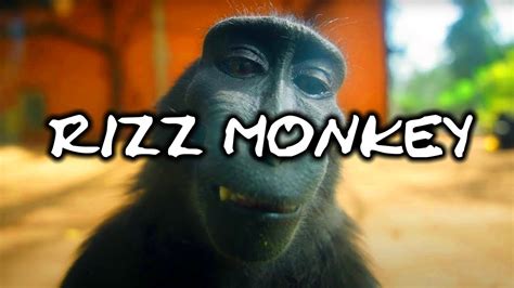 Rizz Monkey [ EDIT ] 🙊🙊 - YouTube