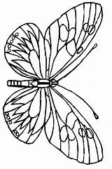 Butterfly Coloring Pages sketch template