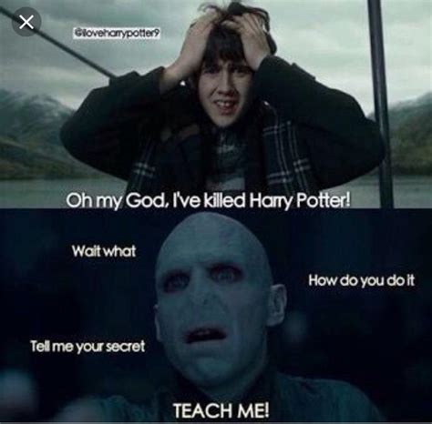 Only true Harry Potter fans will understand this meme : r/HarryPotterMemes